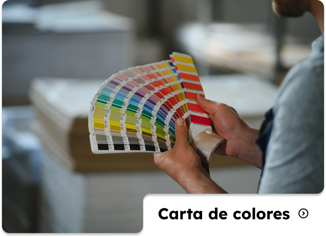 Carta de colores